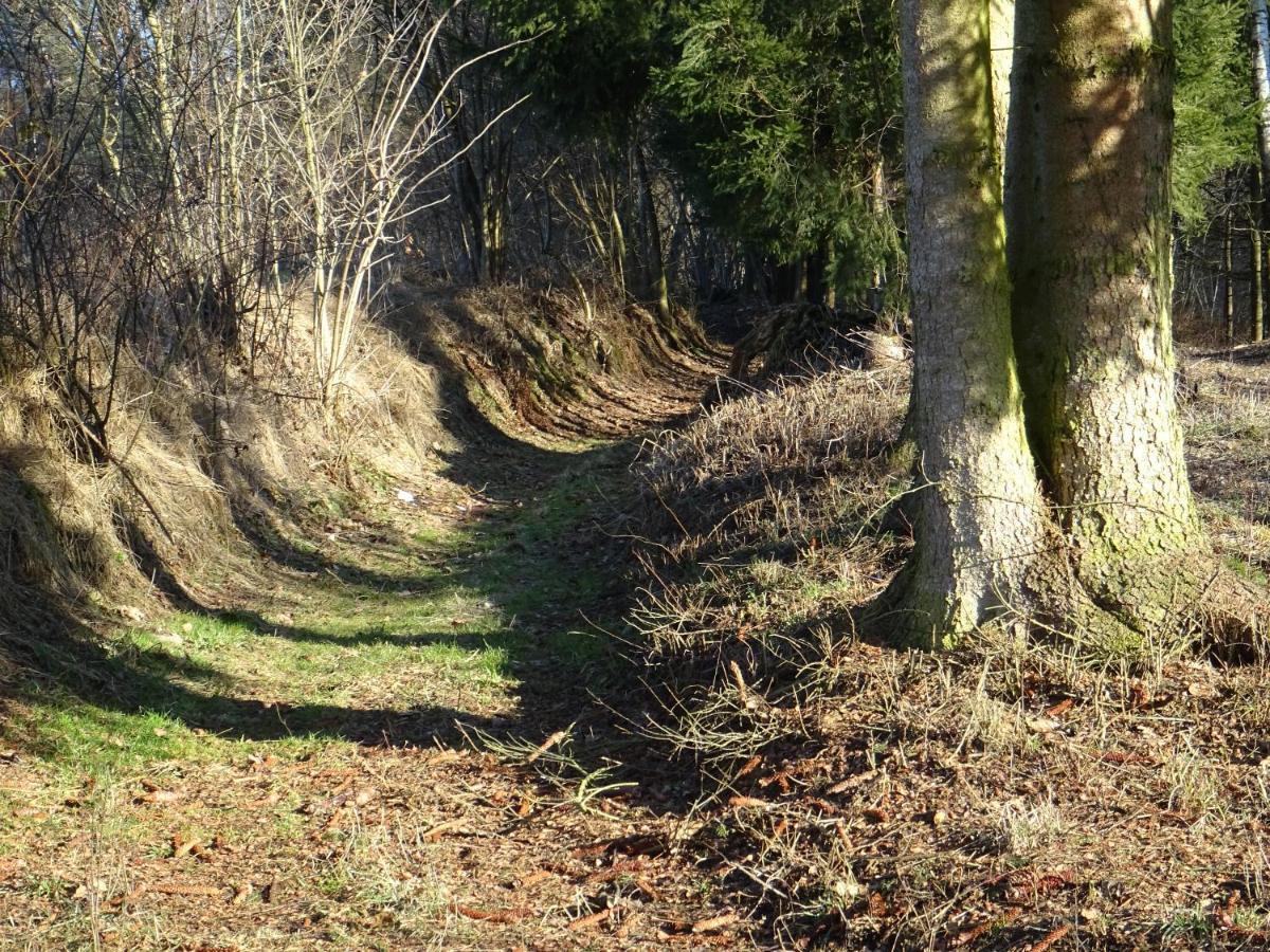Cu-Ferienwohnungen - Nur Fuer Urlaubsgaeste Grafenwiesen Kültér fotó